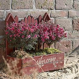 《无人深空》最新更新Omega上线 新的共同探险更新启动