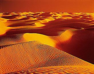 卡普空考虑推出PC《怪物猎人：荒野》跑分工具