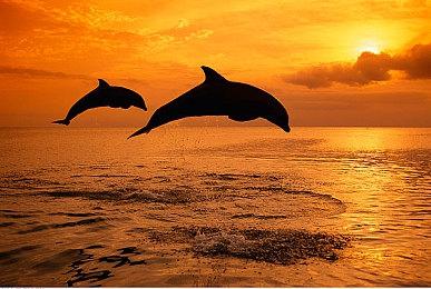 Switch2全球首发出货量或达700万台 实在太猛了！